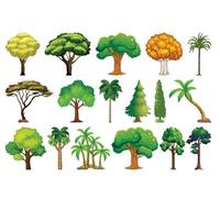 conjunto de variedad de plantas y árboles.