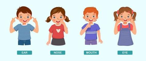 niños lindos que muestran señalando diferentes partes del cuerpo de la anatomía humana, como oído, nariz, boca, ojo vector