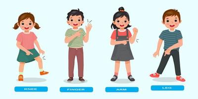 cute kids showing by pointing different body parts of human anatomy such as knee, finger, arm, leg vector