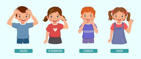 niños lindos que muestran señalando diferentes partes del cuerpo de la anatomía humana, como la cabeza, el codo, la mejilla, el cabello vector