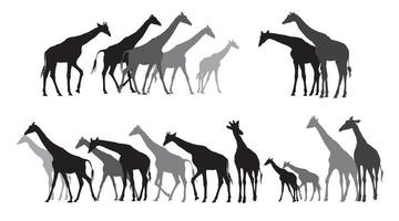 Group of black and grey silhouettes of giraffes vector