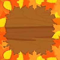 Bright red leaves. Vector background with red, orange, brown and yellow autumn leaves.