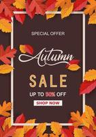 Autumn sale background with leaves. background, template and poster design vector