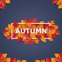 diseño de banner de otoño con hojas. hojas de otoño decorativas vector