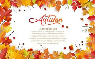 Autumn background design with leaves. background, banner or template design vector