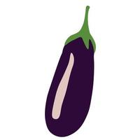 Eggplant Vector Illustration. Eggplant cartoon.