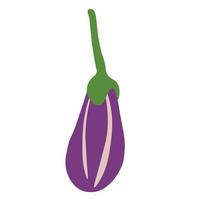 Eggplant Vector Illustration. Eggplant Cartoon. Fresh Eggplant Icon