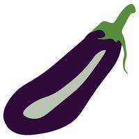 Eggplant Vector Illustration. Eggplant Cartoon. Fresh Eggplant Icon