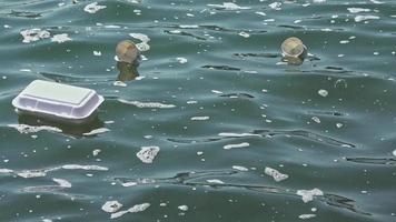 menselijk vuilnis Aan zee water verontreiniging video