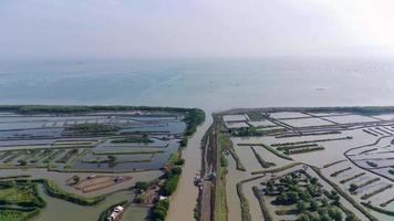 vista aérea do cultivo de tanque de peixes, rio longo, beira do oceano, cercado por árvores verdes de mangue. vídeos de drones 4k video