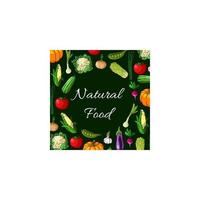 Vegetables. Natural food banner of vegetable icons vector