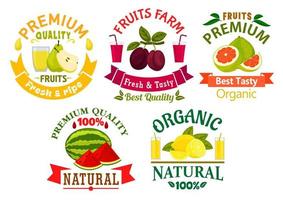 símbolos de frutas naturales para el diseño agrícola vector