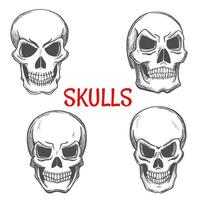 cráneos y cráneos esqueléticos iconos de boceto vector