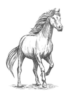 White horse with stomping hoof portrait