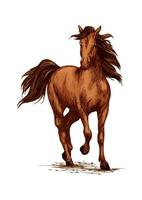 Brown horse running gallop on races vector sketch