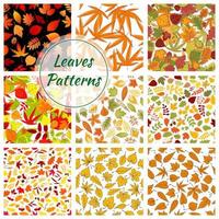 Autumn plants and trees leaves. Seamless patterns