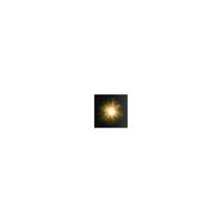 Shining star. Bright sun light lens flare effect vector