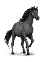 caballo gris con casco pisando fuerte vector