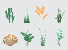 conjunto de plantas de interior vector