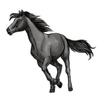 White horse freely running portrait vector