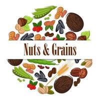 nueces y granos nutritivos en forma redonda emblema vector