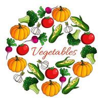 Vegetables harvest poster of vegetarian veggies vector