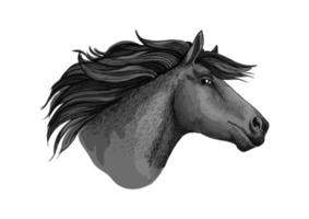 Mustang horse or stallion head sketch vector