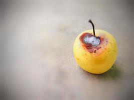 The beautiful yellow texture of the pear even though it is slightly rotten. photo