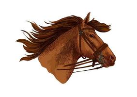 Horse in bridle, running mustang head vector