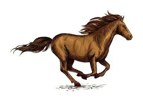 boceto de caballo corriendo para el diseño del deporte ecuestre vector