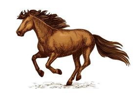 caballo marrón árabe corriendo en carreras de dibujo vectorial vector