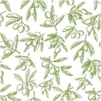 Olive fruit sketches seamless pattern background vector