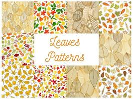Autumnal fallen leaves seamless patterns set vector