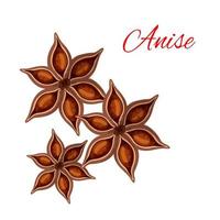 Anise spice vector isolated icon