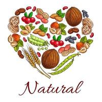 Healthy nuts, grain, berries in heart shape vector