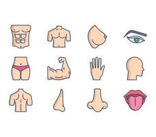 Human Body Parts illustration set vector