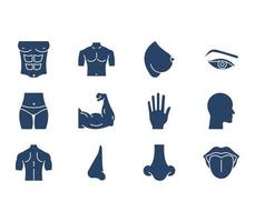 Human Body Parts illustration set vector