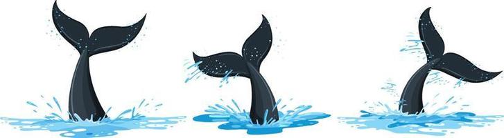 Tails of a whale in the water set vector