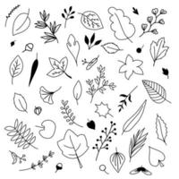 Collection of Sketchy Vintage Branches With Leaves on White Background. Decorative Elements for Decoration vector