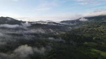 brouillard matinal, angle élevé à phu thap boek, province de phetchabun video