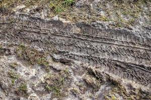 Agricultural grounds and acre in high resolution showing tire tracks and cracks. photo