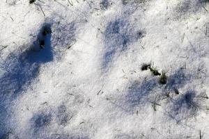 Snow and ice texture closeup shallow dof with copy spase. Ice crystals for backround pattern photo