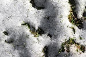 Snow and ice texture closeup shallow dof with copy spase. Ice crystals for backround pattern photo