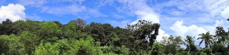 hermosas impresiones del paisaje tropical en el paraíso de las islas seychelles. foto