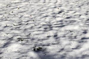 primer plano de textura de nieve y hielo dof bajo con espacio de copia. cristales de hielo para el patrón de fondo foto