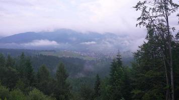 View from hill with forest meadow on town and mist in valley photo