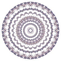 Circle floral pattern png