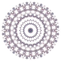 padrão floral círculo png