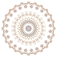 Abstract floral ornament mandala png