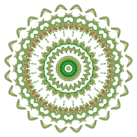 ilustração de mandala de flores png